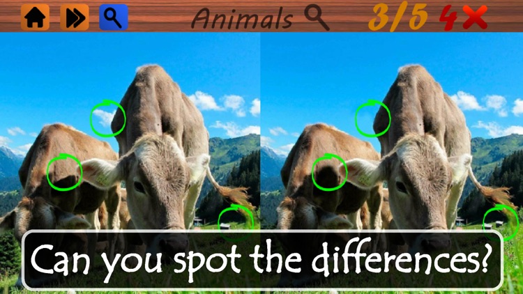 Spot the Differences - Animals