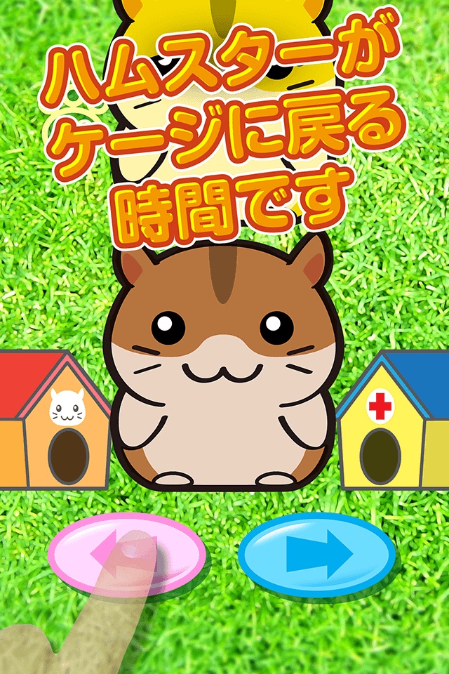 Littlest Smart Hamster Pet Shop - Cage For My Friendly Pets screenshot 2