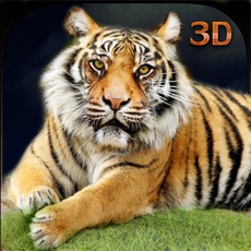 Activities of Hungry Wild Tiger 3D Simulator Game