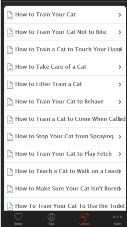 Cat Training - Basic Tips For Beginners screenshot-4