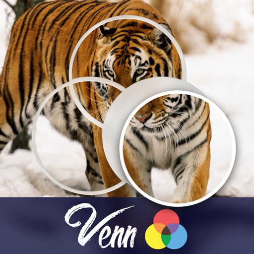 Venn Tigers: Overlapping Jigsaw Puzzles