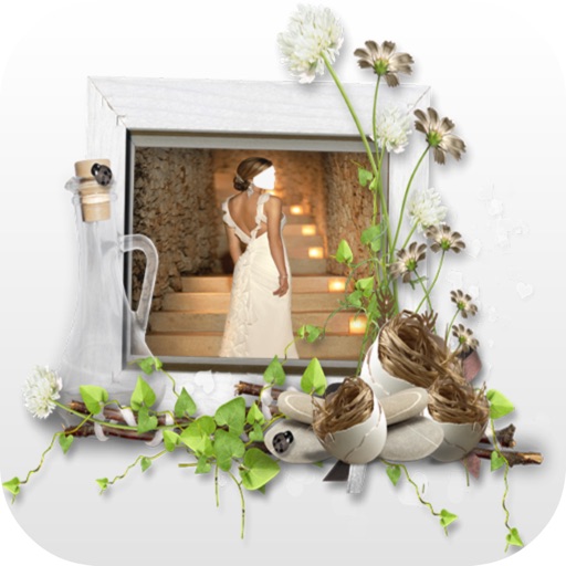 Beautiful Wedding Bridal Dress Montage icon