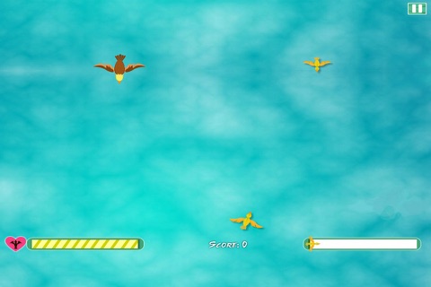 Bird Leader Classic screenshot 3