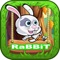 Bunny Journey Jungle