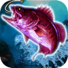 Real Fishing Pro 3D apk