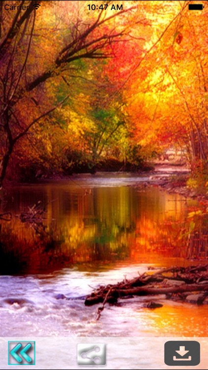 First Day Fall - Autumn HD Wallpapers screenshot-3