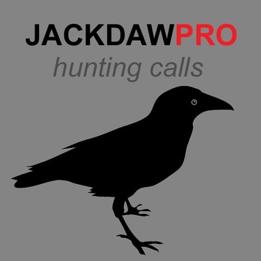 Jackdaw Calls for Hunting - HD iOS App