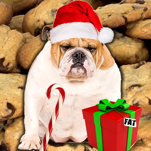 A Talking Fat Dog HD - Christmas Edition icon