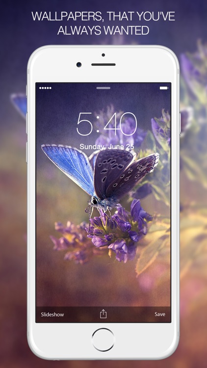 butterfly wallpaper for mobile phone