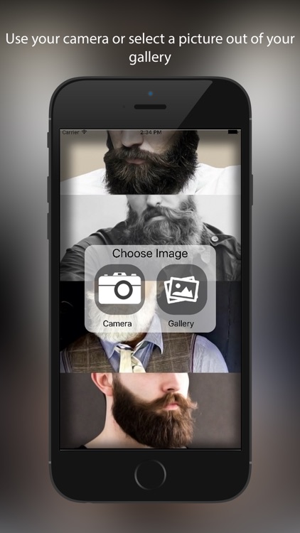 Beard Booth Photo Editor:  Beard Salon