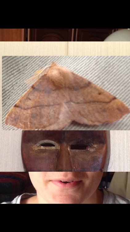 InceptionCam Lite screenshot-4