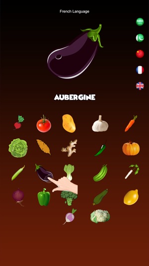 Vegetables Dictionary Multi(圖3)-速報App