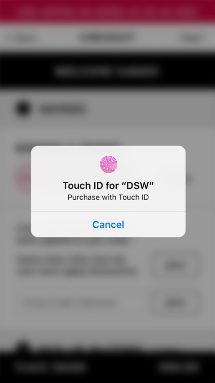 DSW Designer Shoe Warehouse