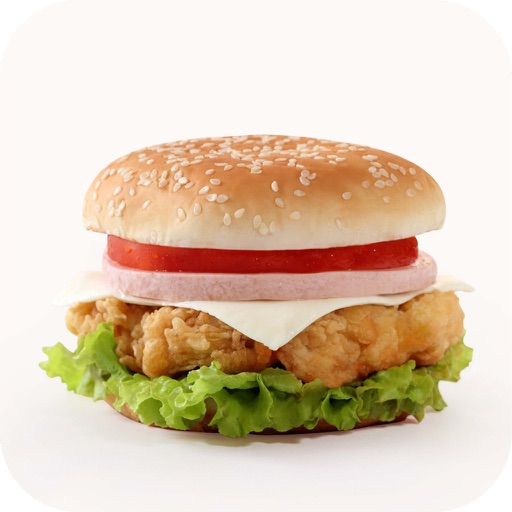 Paleo Diet - Burgers Recipes icon