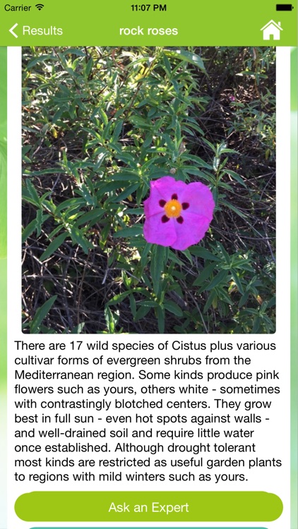 Garden Answers Plant Identification screenshot-4