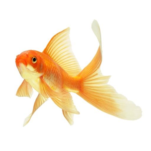 Fish Aquarium Pro icon