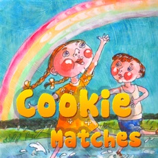 Activities of Sky Rainbow Cookie Collect
