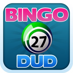 Bingo Dud - Crazy Bingo Madness