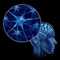 The iCranialNerves App describes the 12 cranial nerves