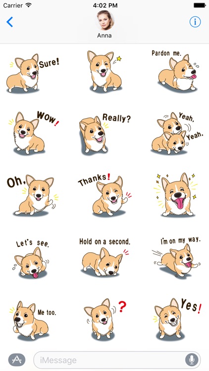 Pembroke Welsh Corgi - Dog Stickers and Emoji