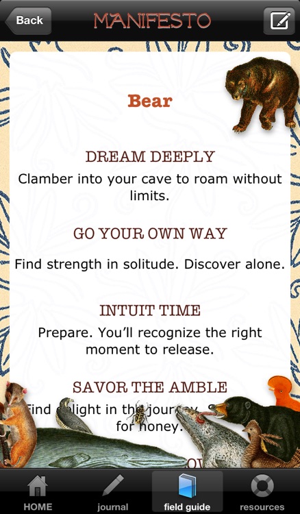 What the Walrus Knows: A Guide to Beastie Energies!