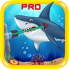 Arrow Attack-HD PRO