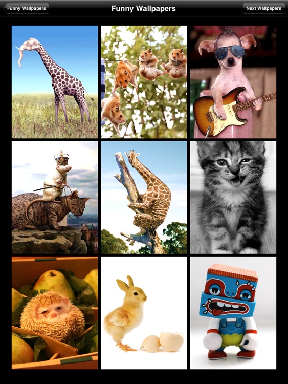 Funny Wallpapers HD for iPad screenshot-4