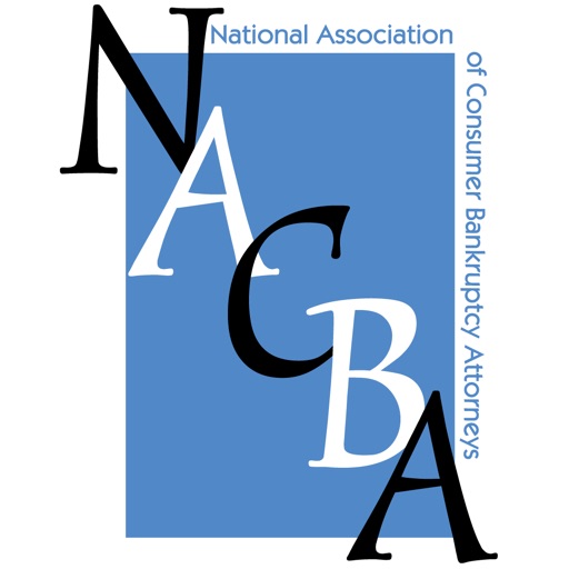 NACBA 2013 Annual Convention icon