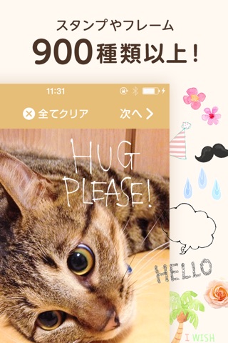 パシャっとmyペット〜可愛いペットの写真共有SNS〜 screenshot 3