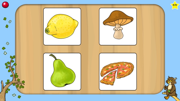 Ann's Flashcards screenshot-4