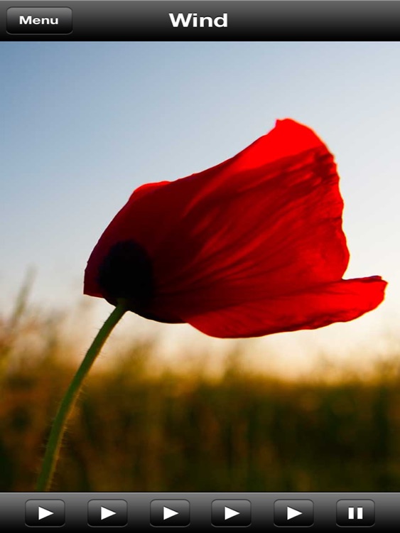 Atmospheric Sounds HD screenshot-4