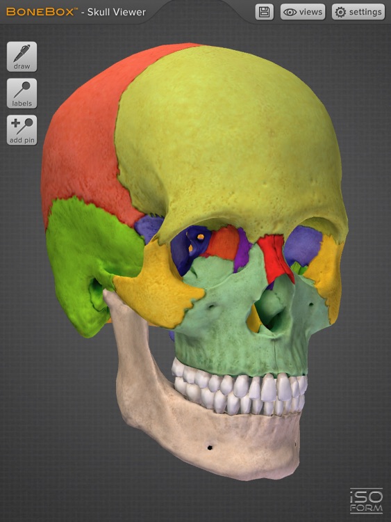 BoneBox™ - Skull Viewer screenshot-3