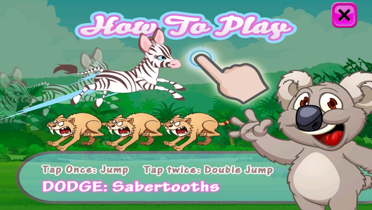 Baby Zebra Dash : Running With Little Zoo Buddies