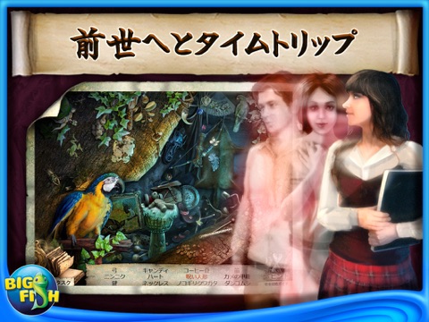 Reincarnations: Back to Reality Collector's Edition HD screenshot 3
