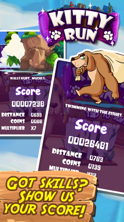 Kitty Run - Crazy Cats screenshot-3