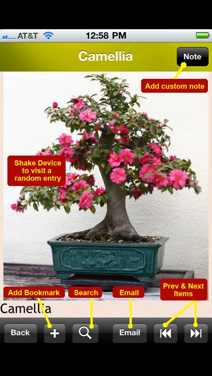 Bonsai Encyclopedia screenshot-4