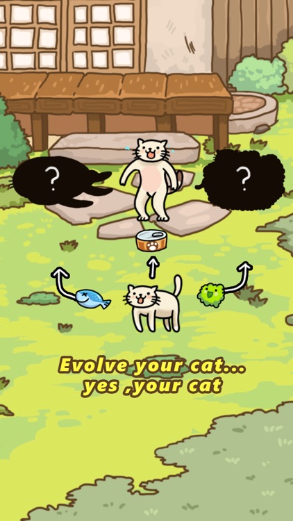 Cat Evolution World