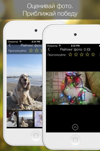 Cat Vs Dog - pet photos screenshot 4