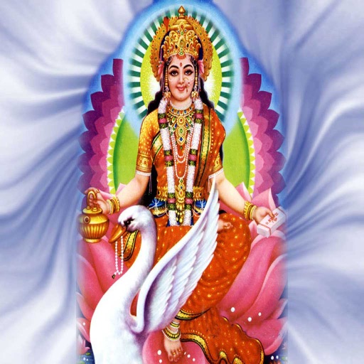 Brahmani Maa Aarti Virtual Pooja icon