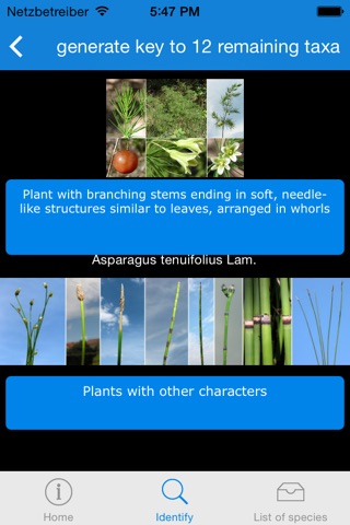 An interactive flora of the Southern Carnic Alps (Ampezzo-Sauris, NE Italy) screenshot 3