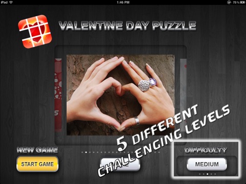 Valentine Day 2013 Romantic Picture Puzzle - Spend happy moments with your love by playing this cute and lovely photo puzzle screenshot 4