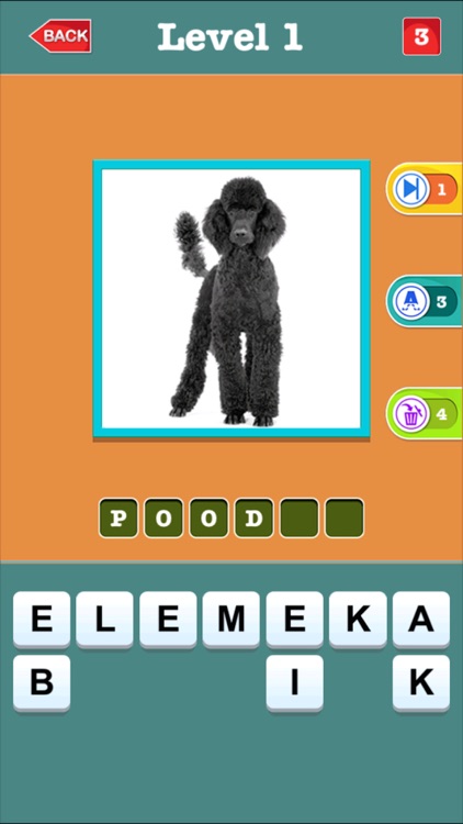 Dog Breeds Quiz For Animal Lovers - Guess Most Popular Small,Hound & Large Dogs Breed Names screenshot-3