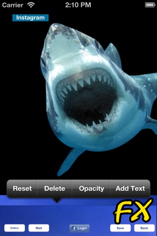 Shark Attack FX screenshot 2