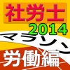 社労士マラソン2014 - 労働編