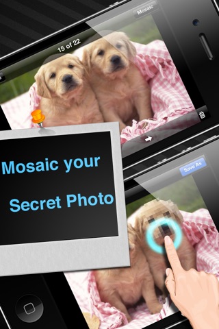 Photo Safe with Mosaic screenshot 2