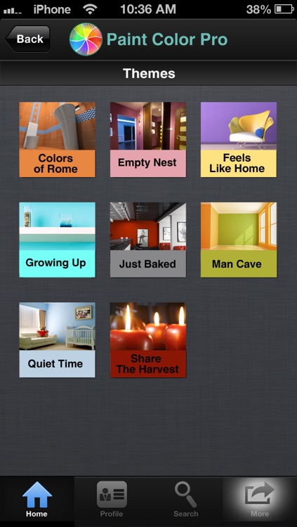 Paint Color Pro: Matching and Inspiration