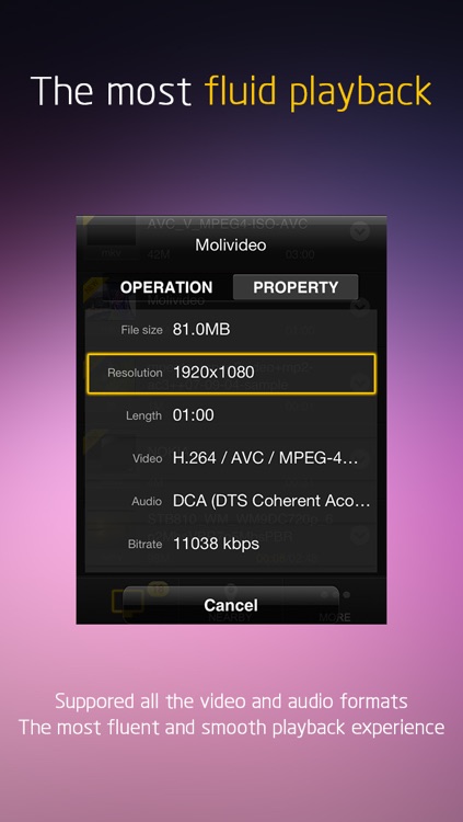 MoliPlayer Pro-video & music media player for iPhone/iPod with DLNA/Samba/MKV/AVI/RMVB