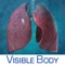Respiratory Anatomy Atlas is a quick visual reference on respiratory anatomy, physiology, and common pathologies