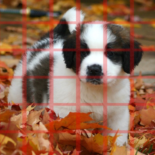 Puppy Puzzles for iPhone & iPad