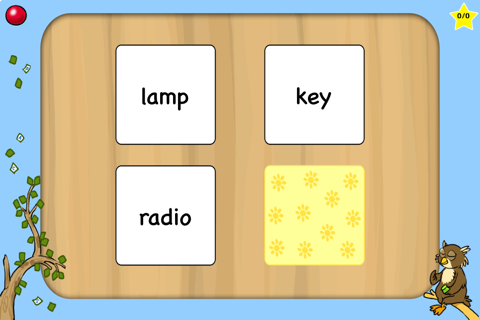 Ann's Flashcards screenshot 2